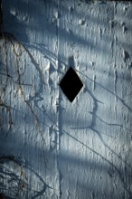 A blue wall exhibits a diamond-shaped opening, surrounded by shadowy vines and textured surfaces.