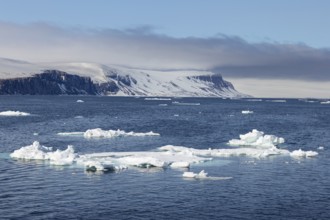 Drift ice, sea ice, sea, mountain range, snow, Faksevagen, Spitsbergen, Svalbard