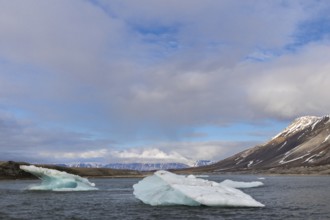 Ice floe drifting in the sea, bay, Recherchebreen, Spitsbergen, Svalbard