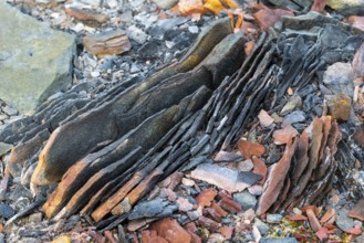 Erosion of rock, Longyearbyen, Spitsbergen, Svalbard