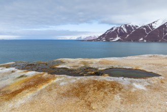Hot spring, discoloured rock, sinter, mountain range, sea, Jotunkjeldene, Spitsbergen, Svalbard