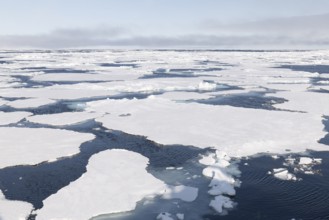 Teibeis, sea ice, ice edge, 82nd parallel, Spitsbergen, Svalbard