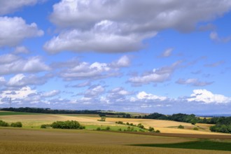Cornfields, near Elz Castle, Rhineland-Palatinate, Germany