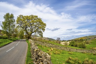Farms, Ullswater Lake, Lake District National Park, Cumbria, England, United Kingdom