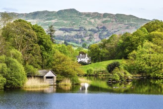 Rydal Water, Rydal, Ambleside, Lake District, Westmorland, Cumbria, England, United Kingdom