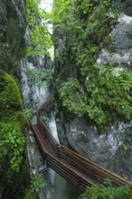 Natural beauty of the Alps, the Innersbachklamm gorge near Unken in Austria