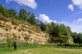Weinheimer Trift natural monument, near Alzey, Rhine-Hesse region, Rhineland-Palatinate, Germany