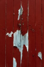 A weathered red wooden surface shows signs of peeling paint, exposing layers of blue and natural