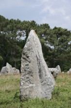 Megalithe, Alignements de Kermario, Carnac, Department of Morbihan, Brittany, France