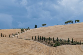 Tuscan landscape, Tuscany, Italy