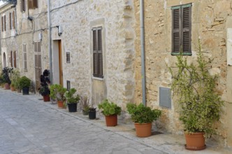 Houses with potted plants in an alley, Petra, Majorca, Balearic Islands, Spain