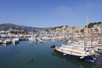 Boats in the harbour, Port De Soller, Majorca, Balearic Islands, Spain