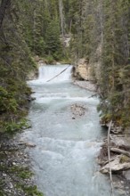 Waterfall, Johnston Canyon, Johnston Creek, Banff National Park, Alberta, Canada