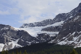 Crowfoot Glacier, Icefields Parkway, Banff National Park, Alberta, Canada