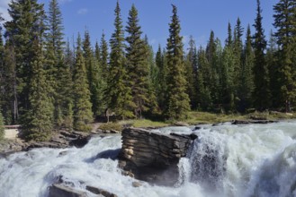 Athabasca Falls waterfall, Athabasca River, Icefields Parkway, Jasper National Park, Alberta,