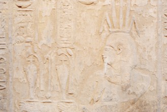 Relief on the double temple of Kom Ombo, Kom Ombo, Egypt