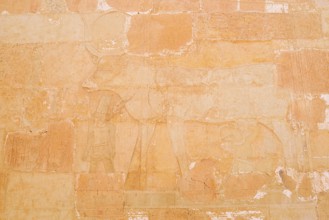 Relief of the Hathor Cow, Temple of Hatshepsut, Mortuary Temple of Hatshepsut, Deir el-Bahari,