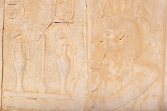 Relief on the double temple of Kom Ombo, Kom Ombo, Egypt