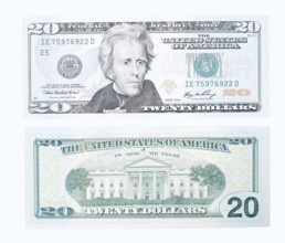 20 US dollar notes, 20 dollar banknotes on white background