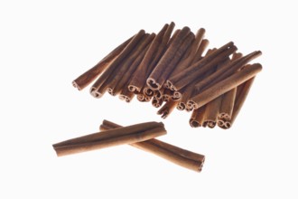 Cinnamon sticks on a white background