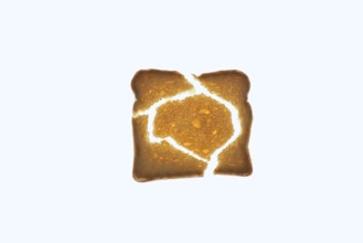 Rusk on a white background