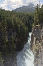 Sunwapta Falls waterfall, Sunwapta River, Icefields Parkway, Jasper National Park, Alberta, Canada