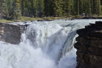 Athabasca Falls waterfall, Athabasca River, Icefields Parkway, Jasper National Park, Alberta,