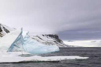 Iceberg, glacier ice, Alkefjellet, Scandinavia, Spitsbergen
