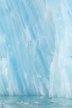 Iceberg, blue glacier ice, Smeerenburgbreen, Scandinavia, Spitsbergen