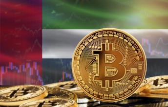 Investors in cryptocurrency and Blockchain Technology in United Arab Emirates, Concept. Bitcoin