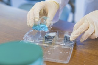 Researcher pours blue liquid from a beaker into a plastic bowl, Battery Research, Nagold, Germany