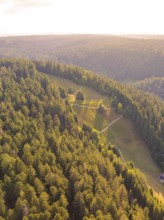 Wide views over forests with clearings and clear paths, peaceful natural surroundings, Retro