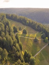 Elevation over forest hills, with clear paths and impressive depth of perspective, Retro