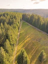 Aerial view of a green forest with open clearing, surrounded by dense nature, Retro Freizeitpark