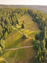 Forest landscape with meadows and winding paths in the sunlight, Retro Freizeitpark Poppeltal giant
