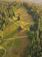 Aerial view of a green forest area with various paths and clear wild surroundings, Retro