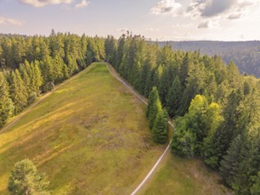 Landscape with green slope, surrounded by dense trees, above a clear sky, Retro Freizeitpark