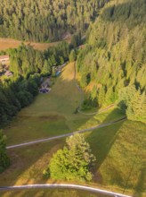 A bird's eye view of a forest landscape, interspersed with green trees and light, Retro