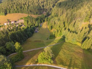 A green forest stretches across a hilly landscape, taken from a bird's eye view, Retro Freizeitpark