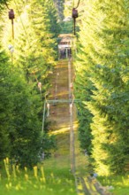 A ski lift running through a dense, green forest, surrounded by trees in the summer light, Retro