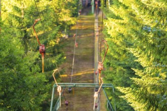 A zip wire leading through a dense forest, accompanied by summer sunlight and green trees, Retro