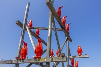 Rode Pinguins, Red Penguins, artwork by Belgian artist William Sweetlove in the harbour of Breskens