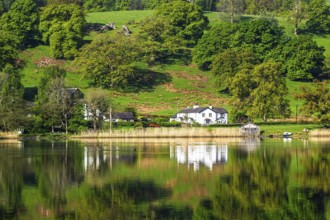 Farms over Esthwaite Water, Lake District National Park, Cumbria, England, United Kingdom