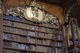 In the Baroque State Hall of the Court Library in the Austrian National Library in the Vienna