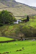 Farms in Lake District National Park, Cumbria, England, United Kingdom