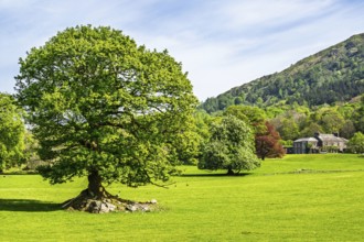 Fell Foot Park, Windermere Lake, Lake District, Cumbria, England, United Kingdom