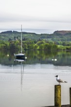 Boats on Windermere Lake and mountains, Ambleside, Lake District, Cumbria, England, United Kingdom