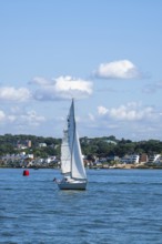 Boats on seaside in Poole, Dorset, England, United Kingdom