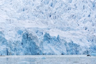 Glacier tongue, sea, Smeerenburgbreen, Spitsbergen, Svalbard