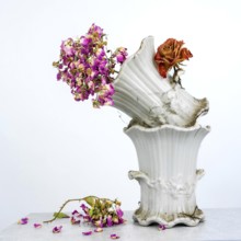 Dried flowers with rich colors are placed in a vintage white vase, showcasing elegance and